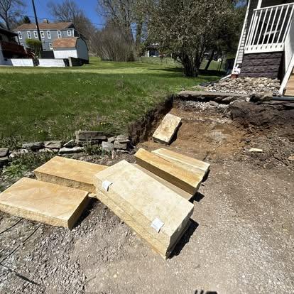 Overgrown yard before landscaping cleanup