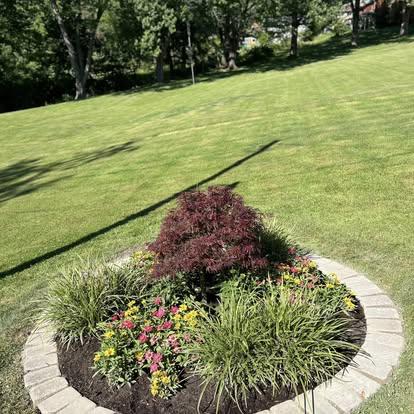Fresh landscaping work in a residential yard